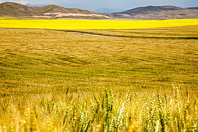 天操夜操：昼夜驾驶全攻略，征服地平线5的每一刻挑战-3