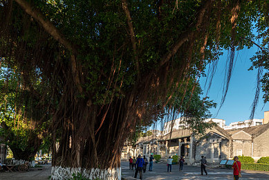 蝌蚪窝一个释放蝌蚪:极速进化,赛道唤醒机械生命的竞速新纪元-2