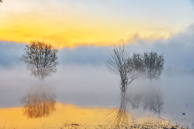 男生和女生一起差差差很痛app：双星协奏曲今日上线，携手闯关体验协作之痛与乐-2