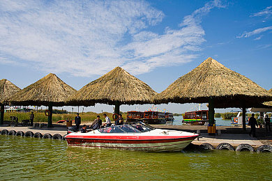 国产亚洲成人av：霓虹赛道激战正酣，国产竞速新作深度试玩报告-2