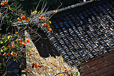 搞鸡下载：极限竞速地平线5，征服墨西哥绝景，体验极致驾驶盛宴-4