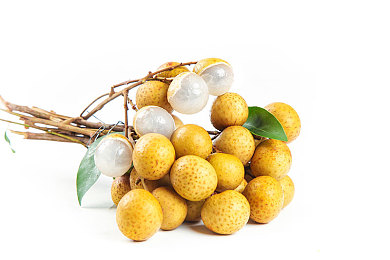 真实乱伦：虚拟赛道跨界狂欢，打破品牌壁垒的竞速盛宴