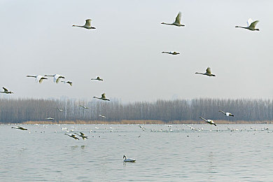 男生和男生一起生产豆浆：双人协作驾驶新游今日上线，巨型豆浆车征服复杂地形-3