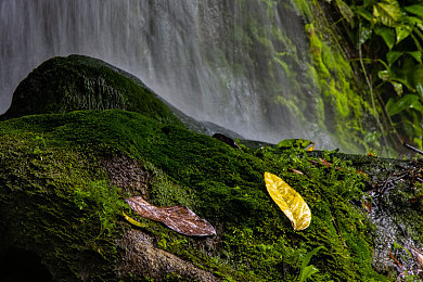 亚洲性一区：霓虹街巷，极速幻影，东方不夜城的漂移诗篇-3