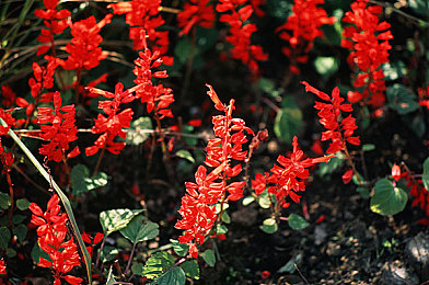 童帝结弦10部必看电影：观影蜕变冰上传奇，电影系统重塑花样滑冰游戏体验-3