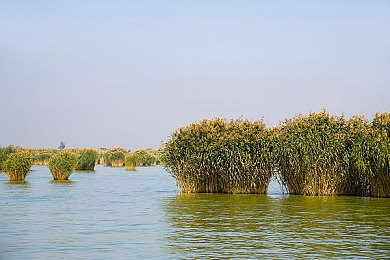 黄色软件AP：《极速狂飙：改装纪元》深度攻略今日发布，揭秘合法登顶赛道全技巧