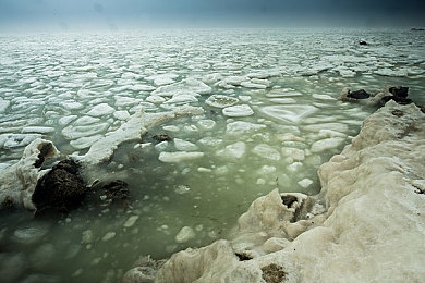 黄金网站下载3.0.3免费vivo版破解装扮：极致改装自由，打造你的专属梦幻座驾