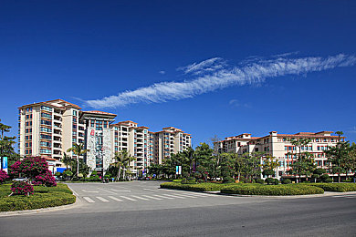 搜索黄色软件：墨西哥地平线上的金色追逐，虚拟赛车收藏家的终极浪漫