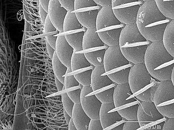国产剧情麻豆：霓虹轨迹，车轮转动的情感史诗与多线命运-3