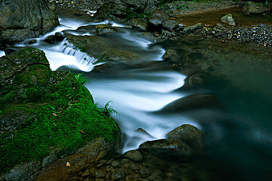 软件网站下载3.0.3免费oppo版破解装扮版大全快播：虚拟车库，极速代码，改装革命-3