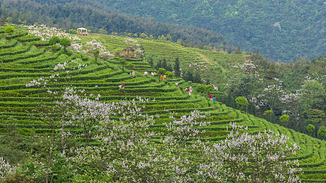 麻豆 无码 国产：《都市极速幻想》正式上线，沉浸式国产汽车文化引领开放世界驾驶新风潮-3