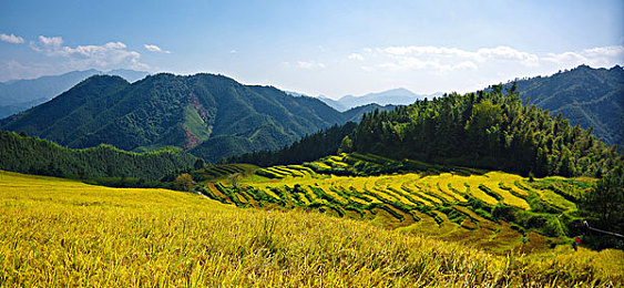 黄色app软件下载3.0.3：极速狂飙全新黄金赛道版本上线，沙漠竞速与动态天气颠覆体验-2