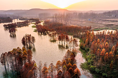 汤姆影院 TOM：在墨西哥的夜幕下，引擎低语与星光共筑的移动画卷-3