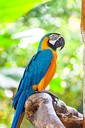 红桃视颏隐人口{dc":"yehanam"}怎么设置":揭秘隐藏车库,打造你的专属传奇座驾-3