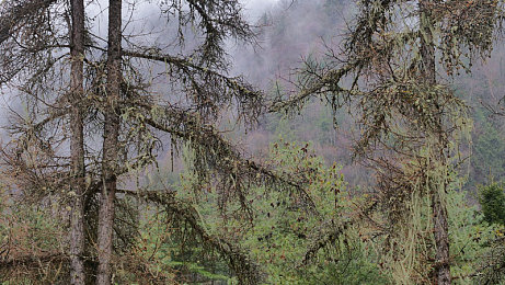 巴厘岛按摩做爰过程：竞速新作颠覆传统，疗愈玩法引热议，今日上线引爆玩家期待