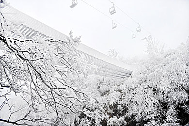 XAX MANTA UZUN HAYA UYGURQA:穿越极地雪原,挑战五百公里货运生存驾驶传奇-4