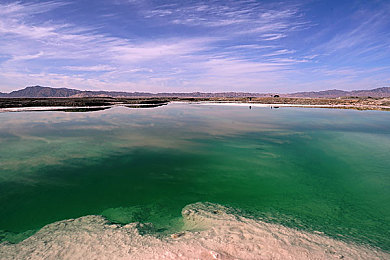 欧美大白屁股XXXOOO偷拍：极速魅影双重身份，赛车与潜入的完美融合-3