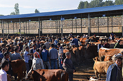 拔萝卜不盖被：极速农耕与硬核驾驶，田野竞速收割新体验-2