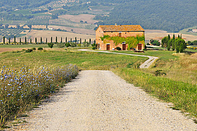 亚洲在线一区二：极速都市，风云争霸，改装竞速的虚拟狂飙