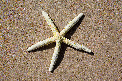 搞基软件app：《极速羁绊：改装风暴》今日上线，车队共造赛车引爆多人竞速新潮流