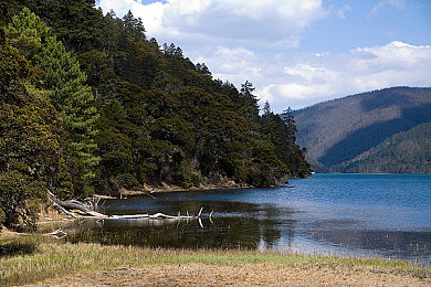 A V片国产：国产电动超跑竞速新游发布，真实还原核心技术引爆赛道体验-3