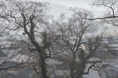 男生的小困困放在女生的小困困里：当竞速激情邂逅田园牧歌，全新混合类型游戏打破传统边界-4