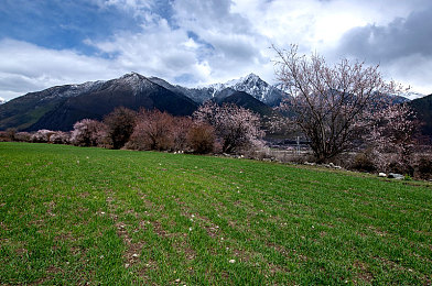 秘密宅男入口导航：墨西哥旷野寻踪，地平线下的隐匿车库奇遇记-2