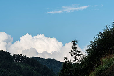 男生把困困放到老师的困困里：校园梦境驾驶者，潜入午休的涂鸦迷宫
