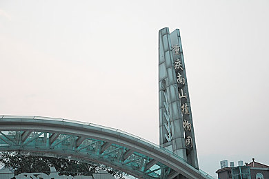 黄色免费视频网站:追逐暮色地平线,在引擎轰鸣中邂逅墨西哥的黄金诗篇-4