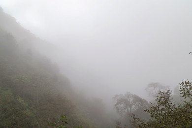 亚洲一区二区色：霓虹都市与雨林秘境，赛车游戏视觉分区设计引爆东方美学新潮流-2
