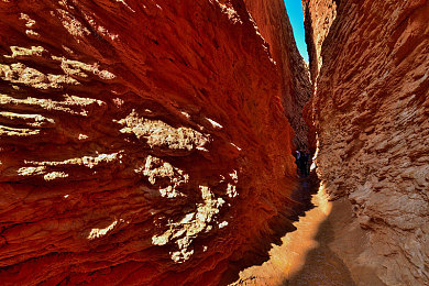 11月电子厂公厕最新通知：赛博工厂生存指南，破解隐秘指令逃离企业掌控