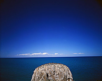 国内AV成人：极速境界，赛道狂想，虚拟驾驭的艺术革命-2