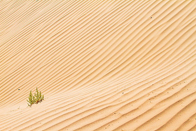 张津瑜国产91：竞速新作崛起，本土赛道上的速度与梦想之旅