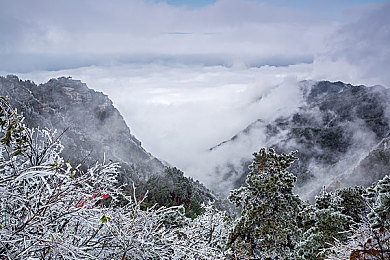 国产乱精：混沌都市中的速度艺术，打破常规的改装诗篇-3