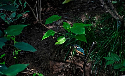 91麻豆天美精东果冻传媒：跨界经营虚拟车企，用数据与内容重塑未来汽车工业-2