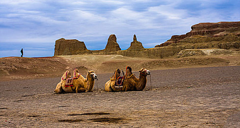 电影泰山与珍妮意大利版：丛林英雄狂飙亚平宁，钩索飞跃罗马古迹竞速新体验-4
