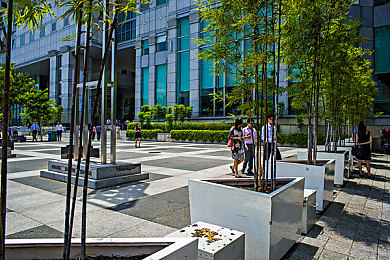 未成年禁看：极限狂飙暗夜都市，体验速度与边界的终极碰撞-3