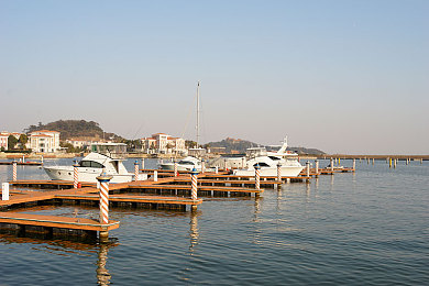 黄色app下载3.0.3：霓虹夜雨，极速狂飙的东京赛道革命-3