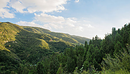 男女搞黄网站：《街头竞速：霓虹》玩家热议改装站，炫彩涂装引领竞速新风潮-3