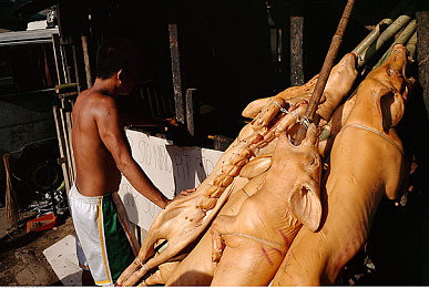三上悠亚中出：极速狂飙新作赛道女神上线，硬核山道挑战引爆玩家热议-3