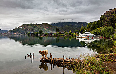 最近2018年手机中文：极品飞车无极限，掌上飙车尽享中文狂潮-3
