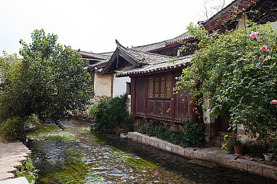 综合五月：驾驭季节变幻，墨西哥地平线上的速度诗篇