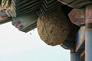 我和亲女作爱全过程：极速传承，父女同心修复经典赛车重燃家族荣耀-3