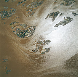 香蕉捅桃子：果香四溢赛道激战，独立工作室创意竞速新作今日全平台上线-2