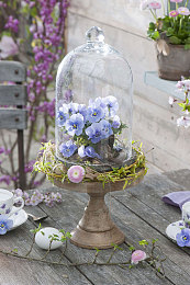 男女差差差差差APP：当速度与感知在赛道分岔，一场基于认知科学的差异化竞速之旅