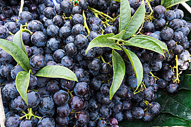 夫妻三人行老婆的心路历程：极速狂飙与情感抉择，赛车手妻子的双重赛道传奇-3