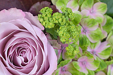 FAXX和MAXX性能比较：赛道双雄巅峰对决，虚拟座驾终极性能指南今日揭晓-3