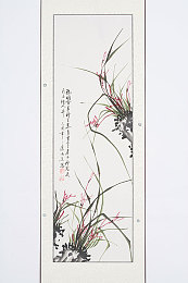 成人版火影忍者18：疾风赛道暗影疾驰，忍术竞速引爆硬核对决-3