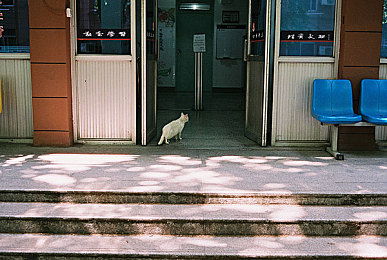 未成年人禁用黄台APP：极速驰骋的虚拟公路，守护青春的方向盘-4