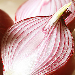 世上最不1-3人纪录片:极限竞速地平线,自由驰骋的开放世界竞速体验-2